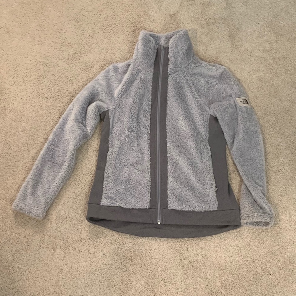 The north face jacket